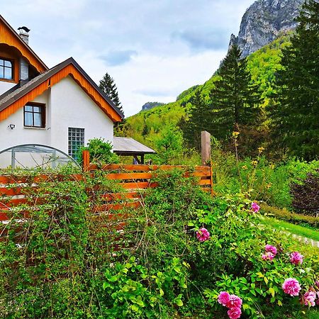 Ingreen House Bohinjska Bela Esterno foto