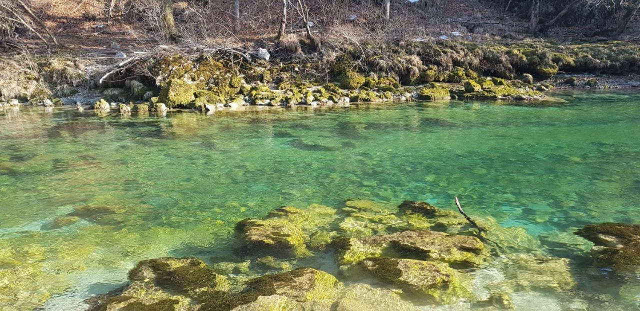 Ingreen House Bohinjska Bela Esterno foto