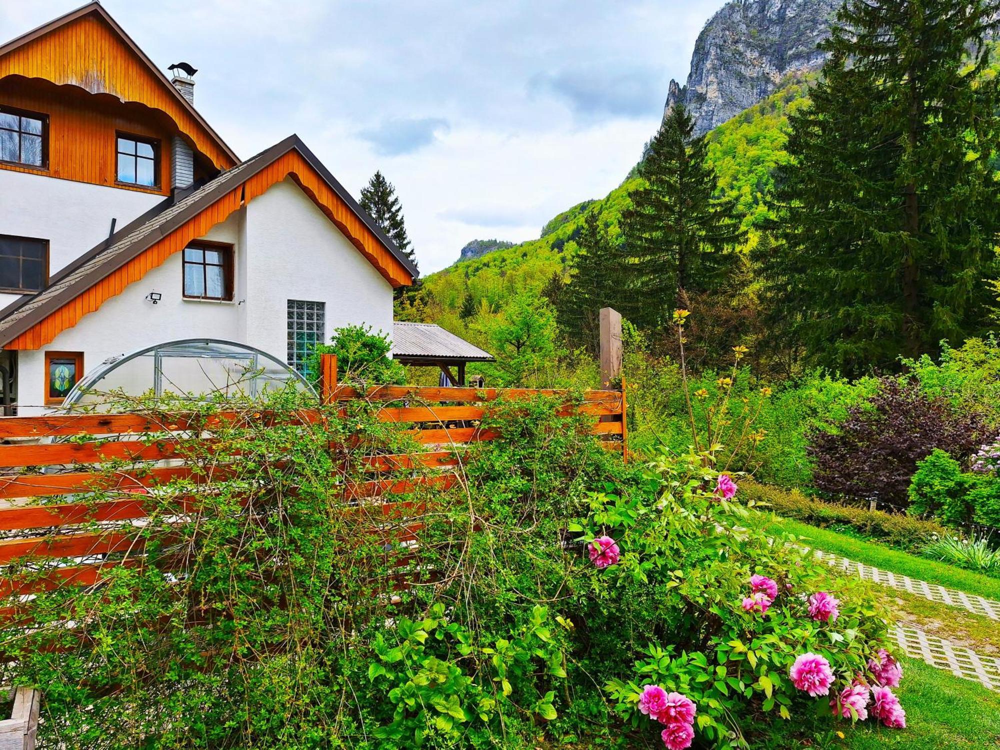 Ingreen House Bohinjska Bela Esterno foto