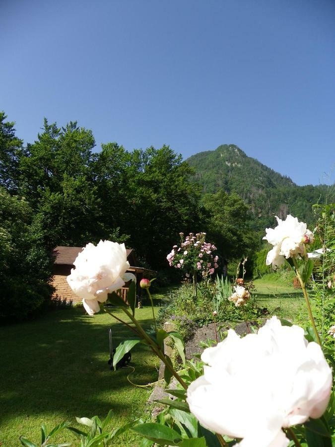 Ingreen House Bohinjska Bela Esterno foto